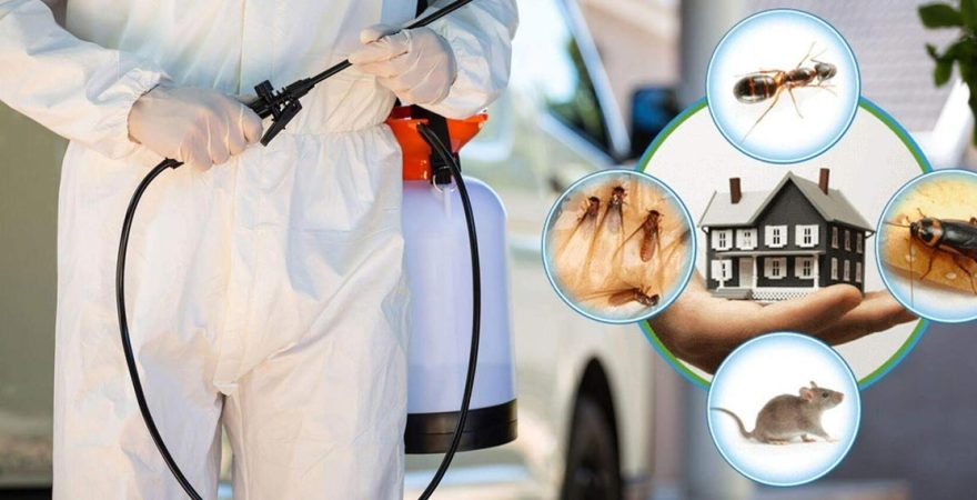 Siverek Böcek İlaçlama