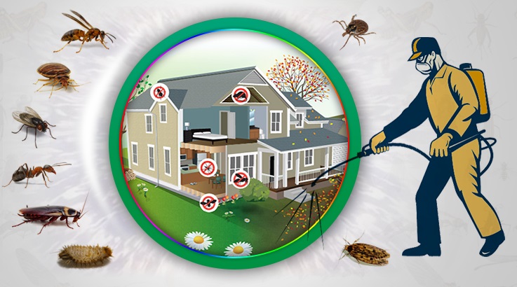 Siverek Böcek İlaçlama