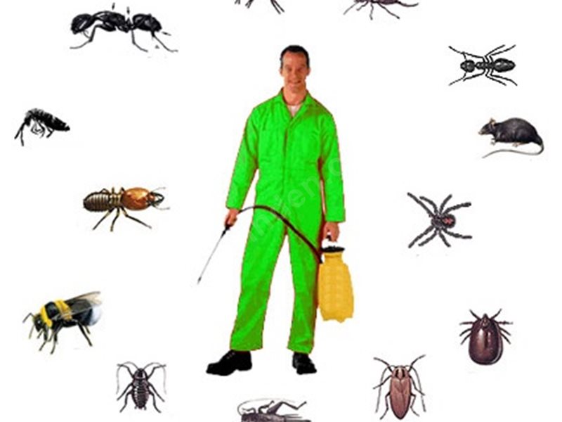 Siverek Böcek İlaçlama